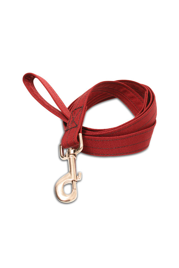 Dog Leash