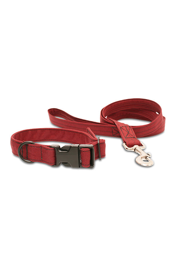 Dog Leash