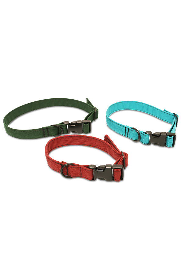 Custom Dog Collar