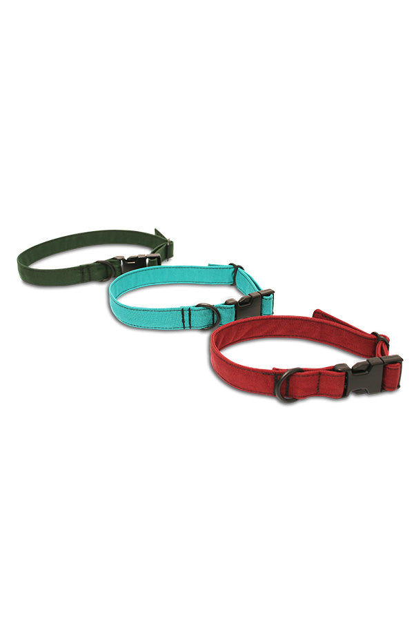 Custom Dog Collar