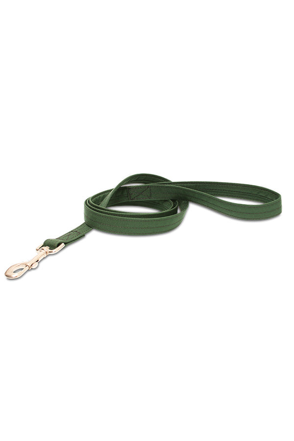Dog Leash