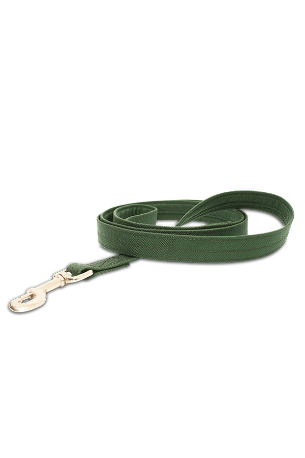Dog Leash
