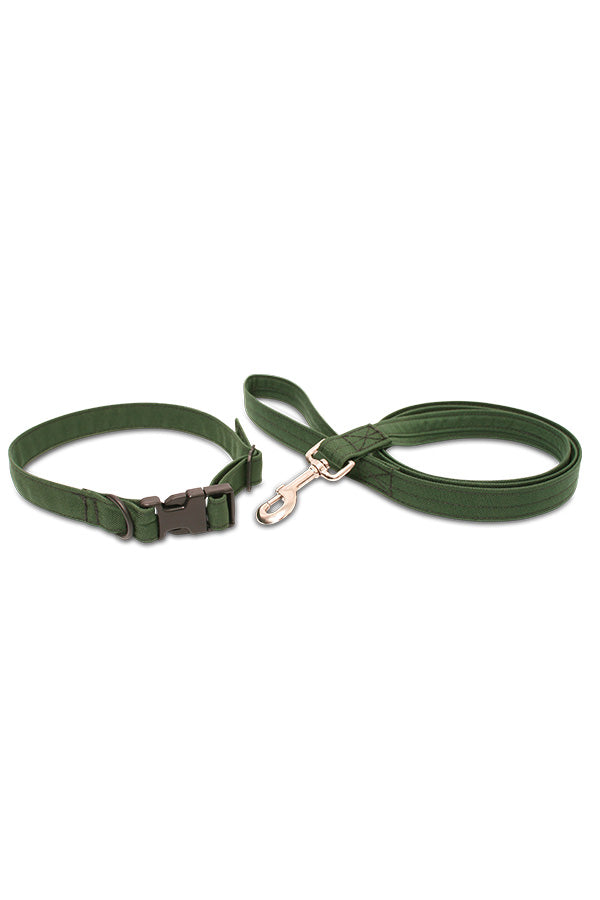 Dog Leash