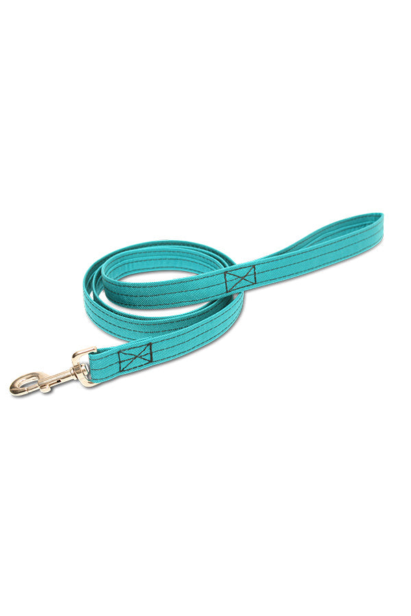 Dog Leash