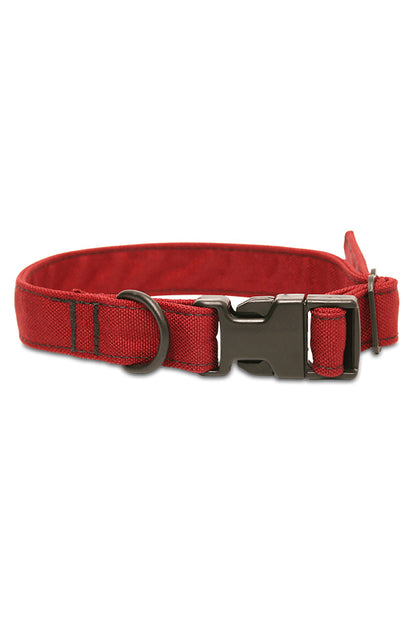 Custom Dog Collar