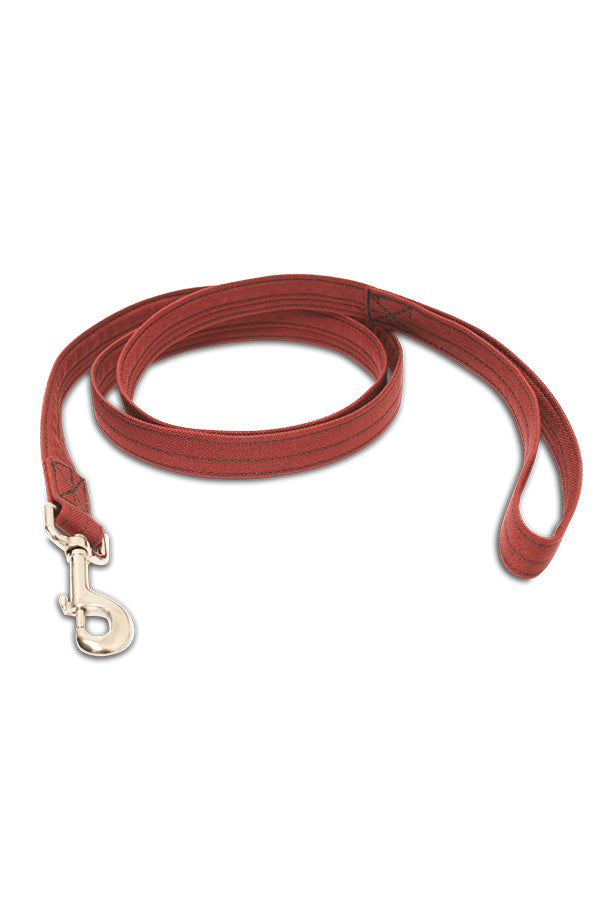 Dog Leash