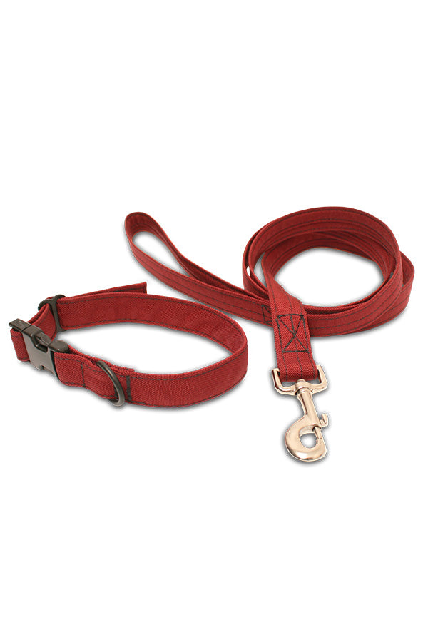 Custom Dog Collar