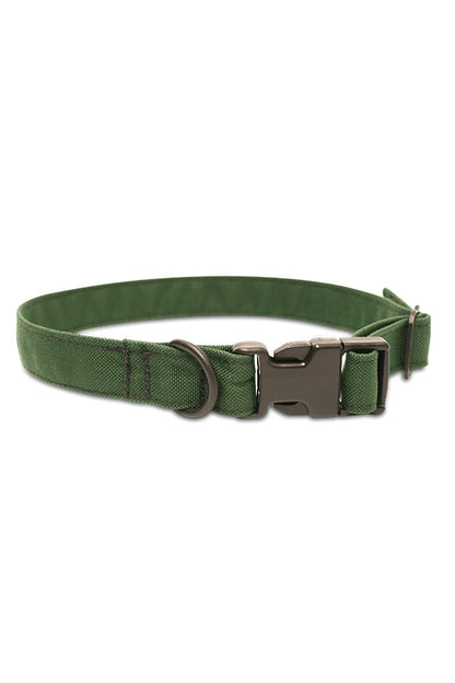 Custom Dog Collar