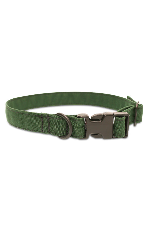Custom Dog Collar