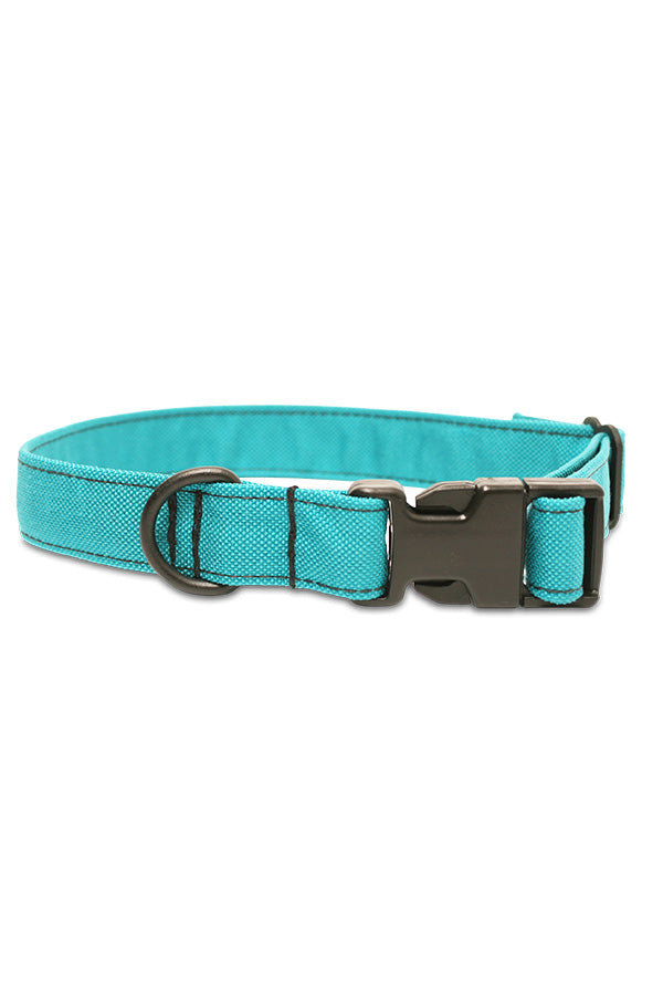 Custom Dog Collar
