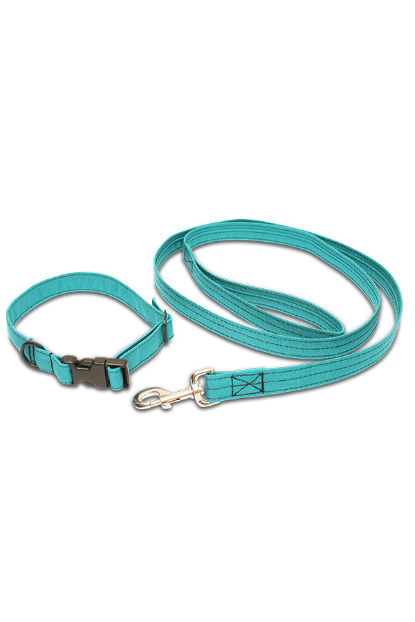 Custom Dog Collar
